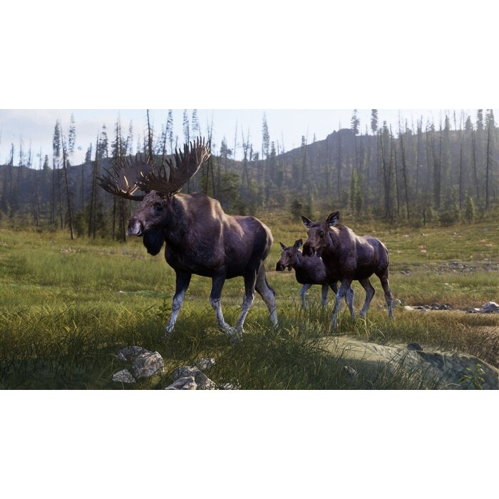 Thq Nordic PS5 Way of the Hunter 2