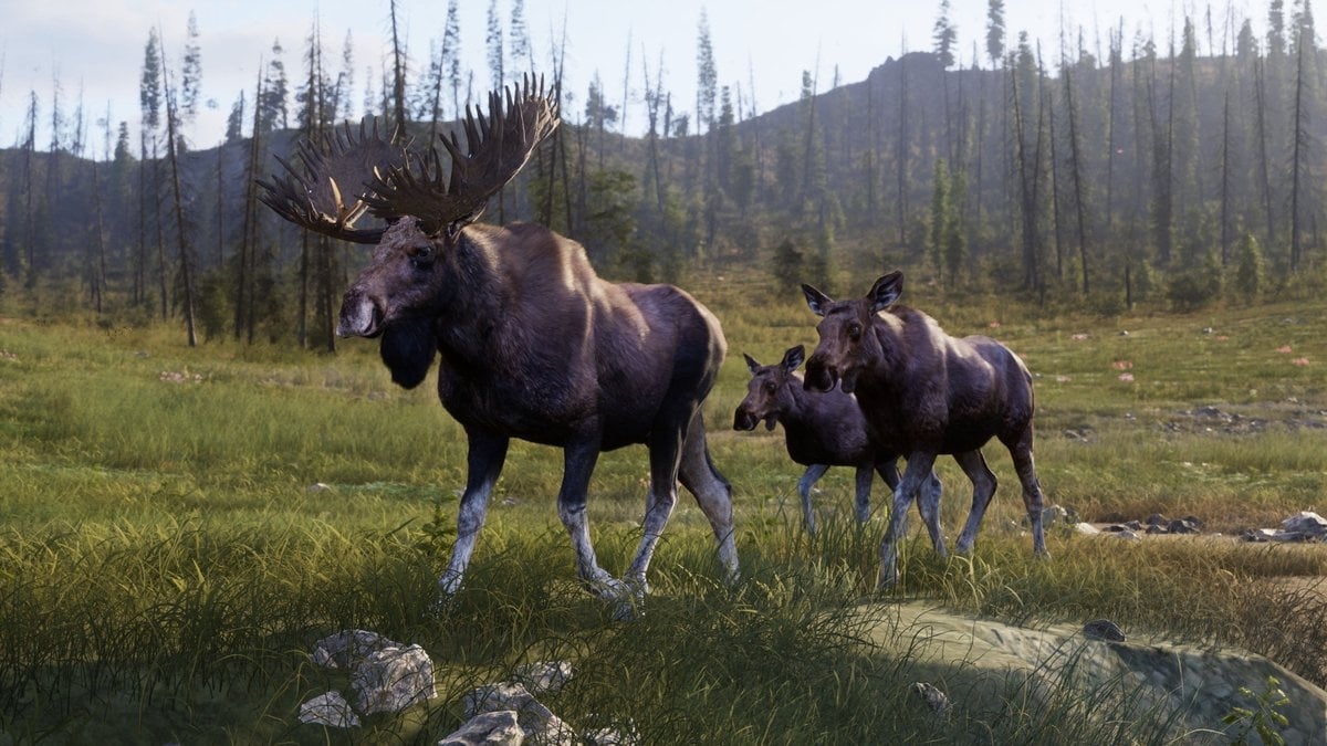 Thq Nordic PS5 Way of the Hunter 2