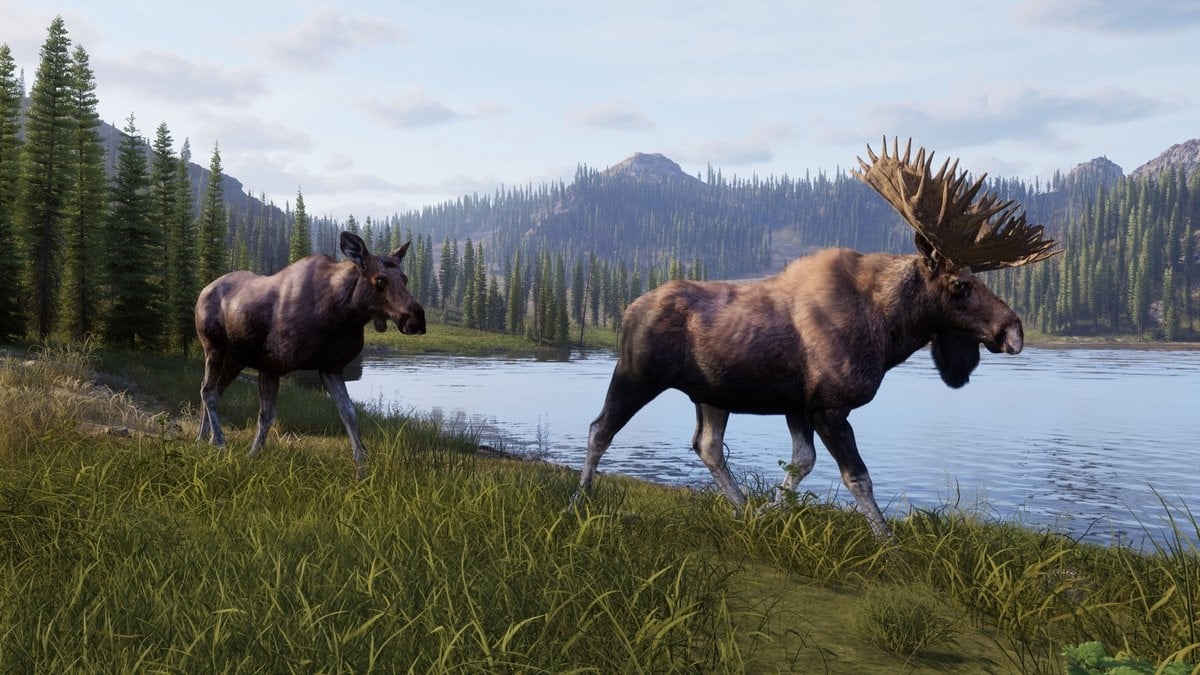 Thq Nordic PS5 Way of the Hunter 2