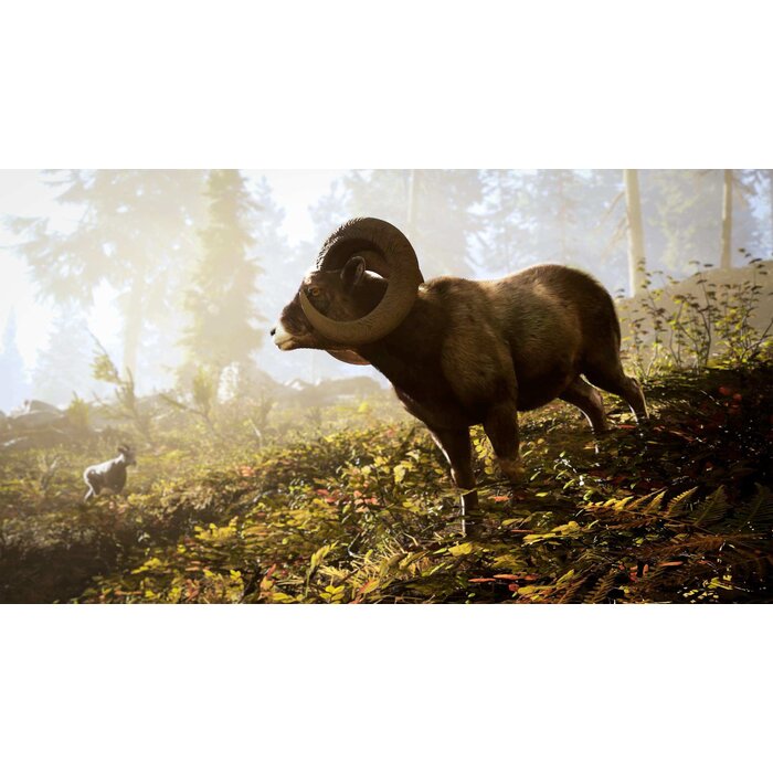 Nacon PS5 Hunting Simulator 3 + Pre-Order Bonus