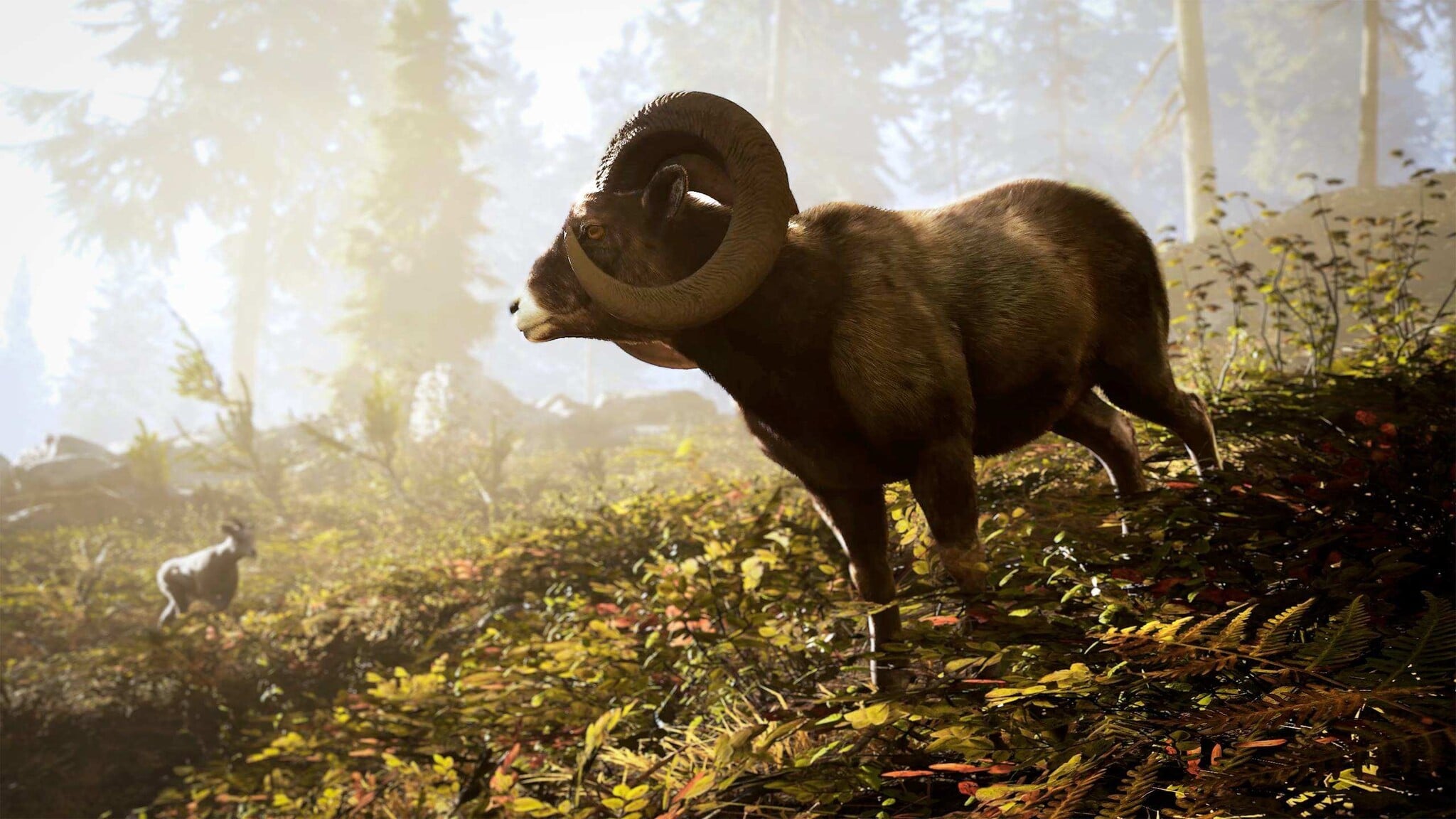 Nacon PS5 Hunting Simulator 3 + Pre-Order Bonus