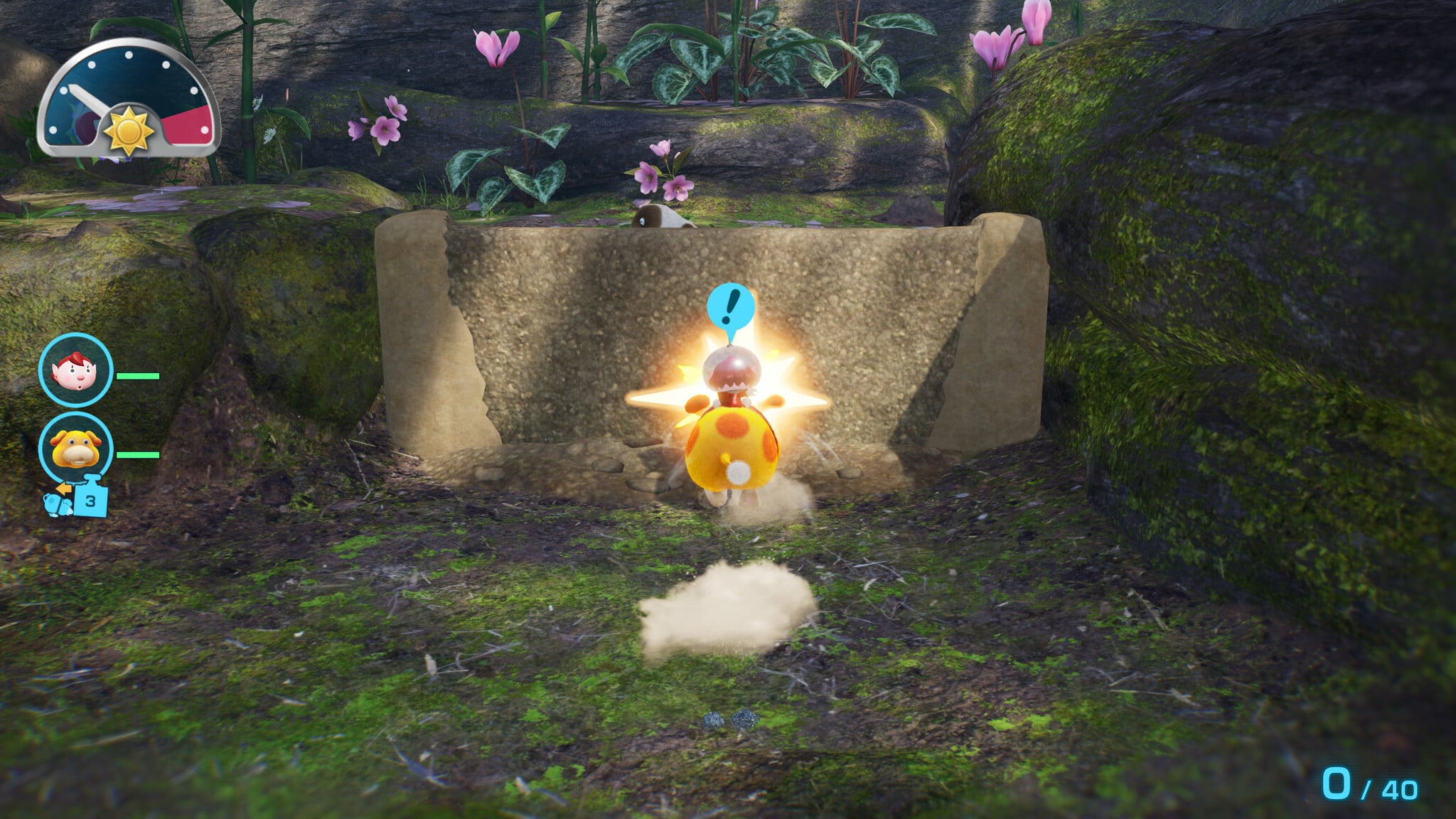 Nintendo Nintendo Switch 2 Pikmin 4 + Dandori-academie