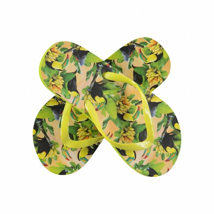 Molo  slippers flipflops Tropical Birds