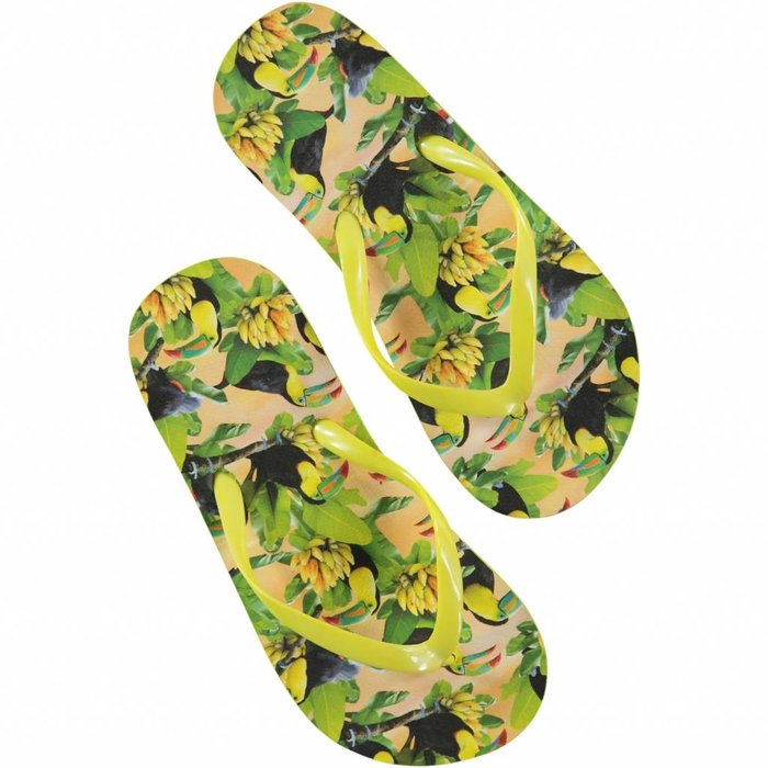 Molo  slippers flipflops Tropical Birds