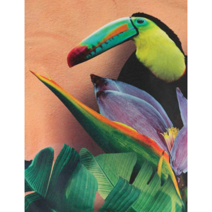 Molo  slippers flipflops Tropical Birds
