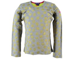 Kidz-Art kleurrijke meisjeskleding outlet longsleeve kisses gold