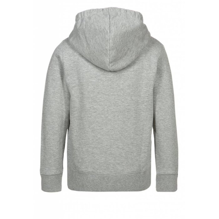 Paul Frank stoer sweatvest grey melee