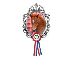 Strijkapplicatie Pony paardje