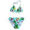 Cars Jeans bikini Tropical Flowers