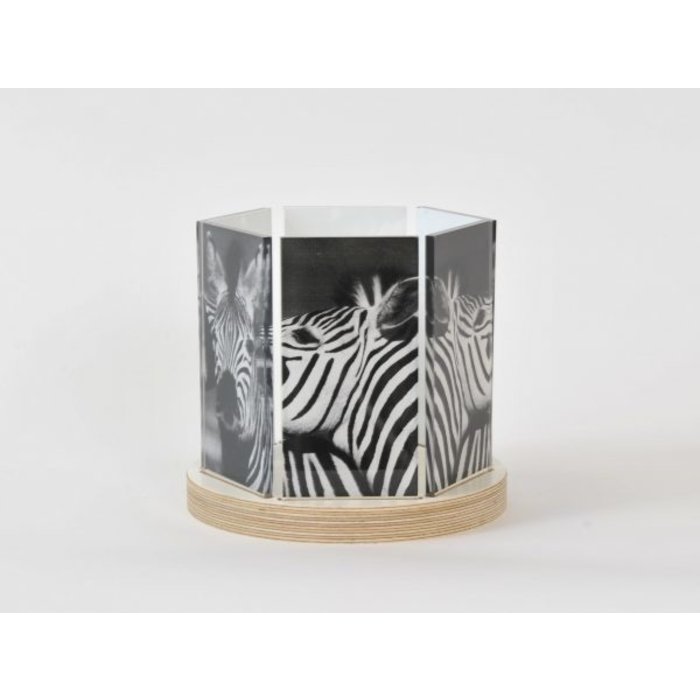Sfeerlicht Zebra
