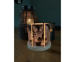 Sfeerlicht Zebra