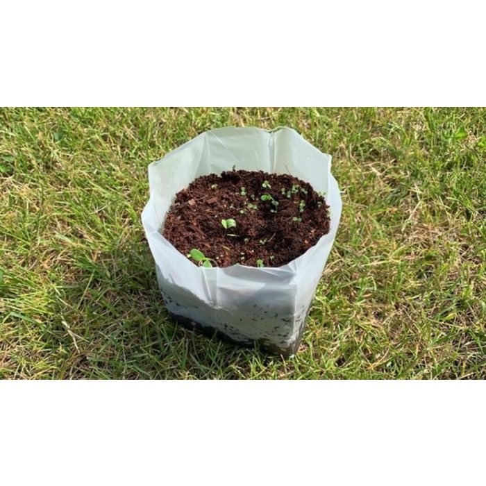 Paper Art Houd Moed - Kweekpakketje Eetbare Bloemen