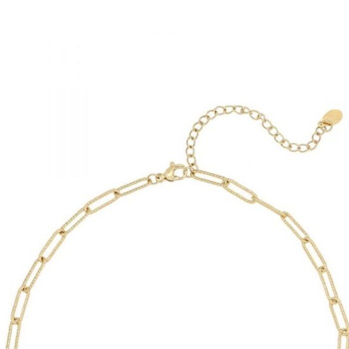 Michelle Bijou Goud Stainless steel ketting grote schakel -grey brown