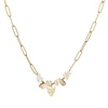 Michelle Bijou Goud stainless steel ketting grote schakel -grey brown