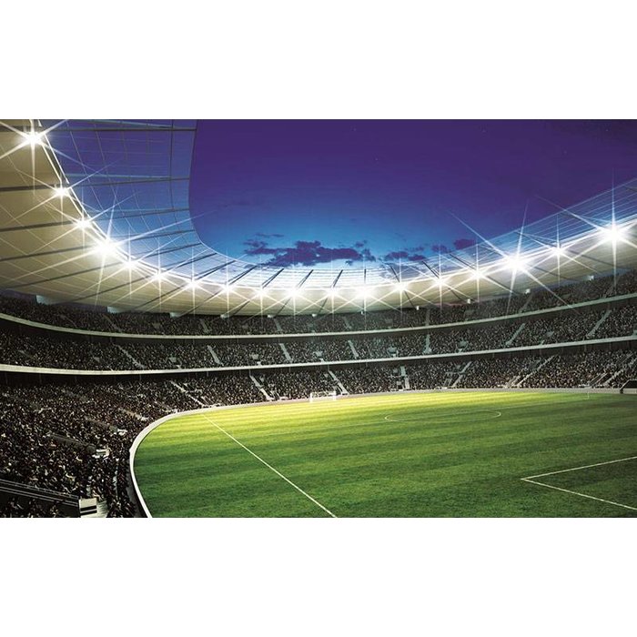 Coart Voetbalbehang XXL Stadion incl lijm