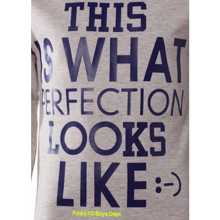 Funky XS shirt Perfection grey