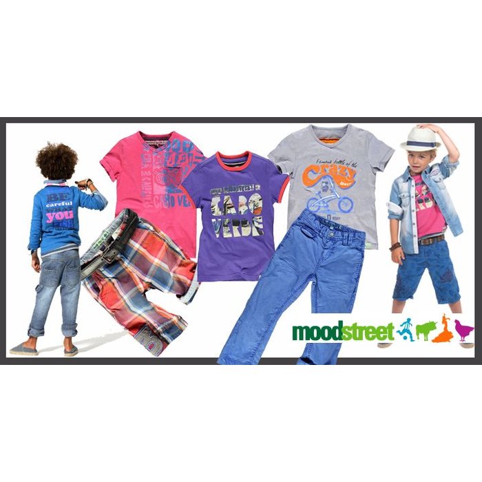 Moodstreet- vrolijke prints en lekker eigenwijs V-hals shirt Faded Beet