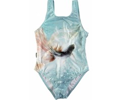 Molo  badpak Nika lonely fish