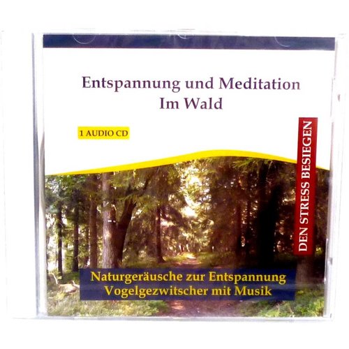 Entspannung und Meditation Im Wald 