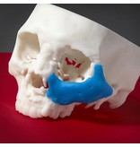 Formlabs Color Pigment White