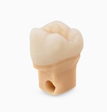 Formlabs Dental Model Resin V2 (Form 3) 1 L