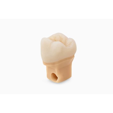 Formlabs Dental Model Resin V2 (Form 3) 1 L