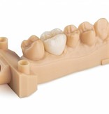 Formlabs Dental Model Resin V2 (Form 3) 1 L