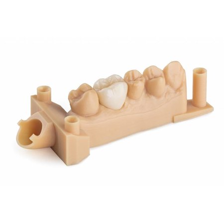 Formlabs Dental Model Resin V2 (Form 3) 1 L