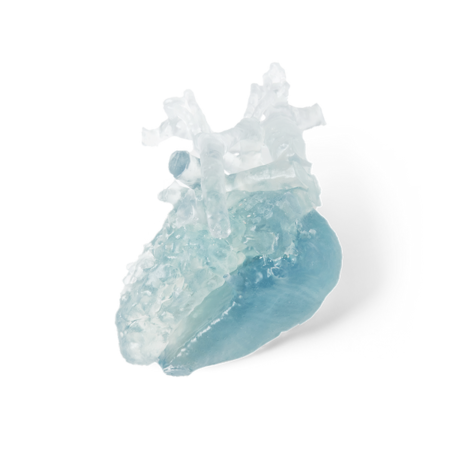 Formlabs BioMed Flex 80A Resin (Form 3) 1 L