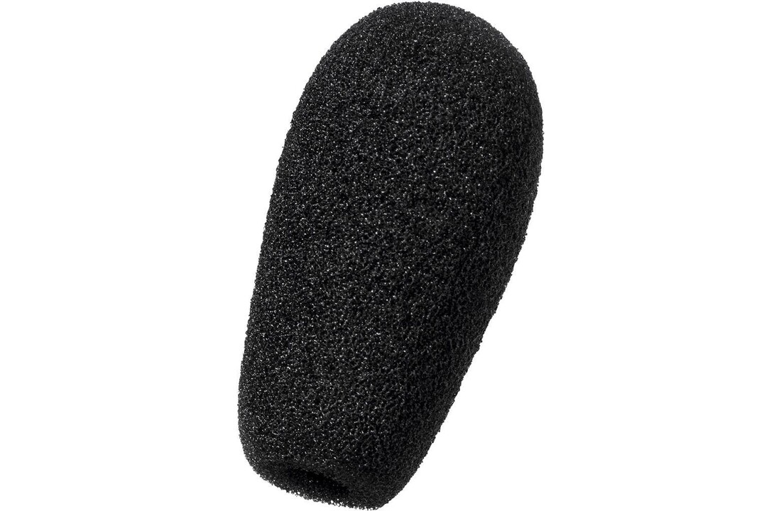 Microphone cover for DW20/30