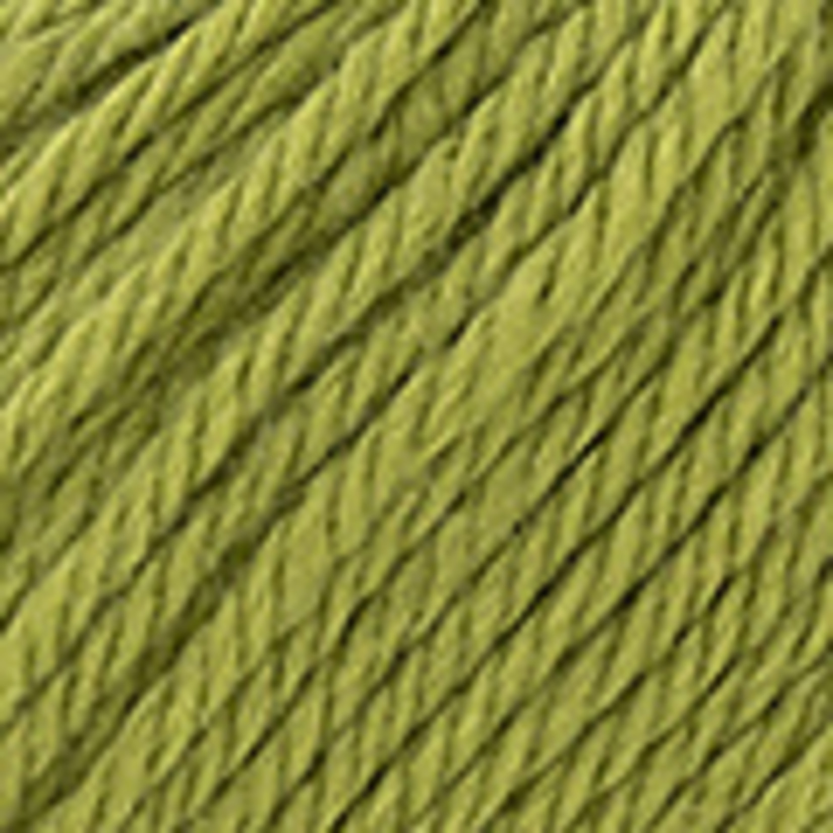 Katia Super Merino  14 Groen