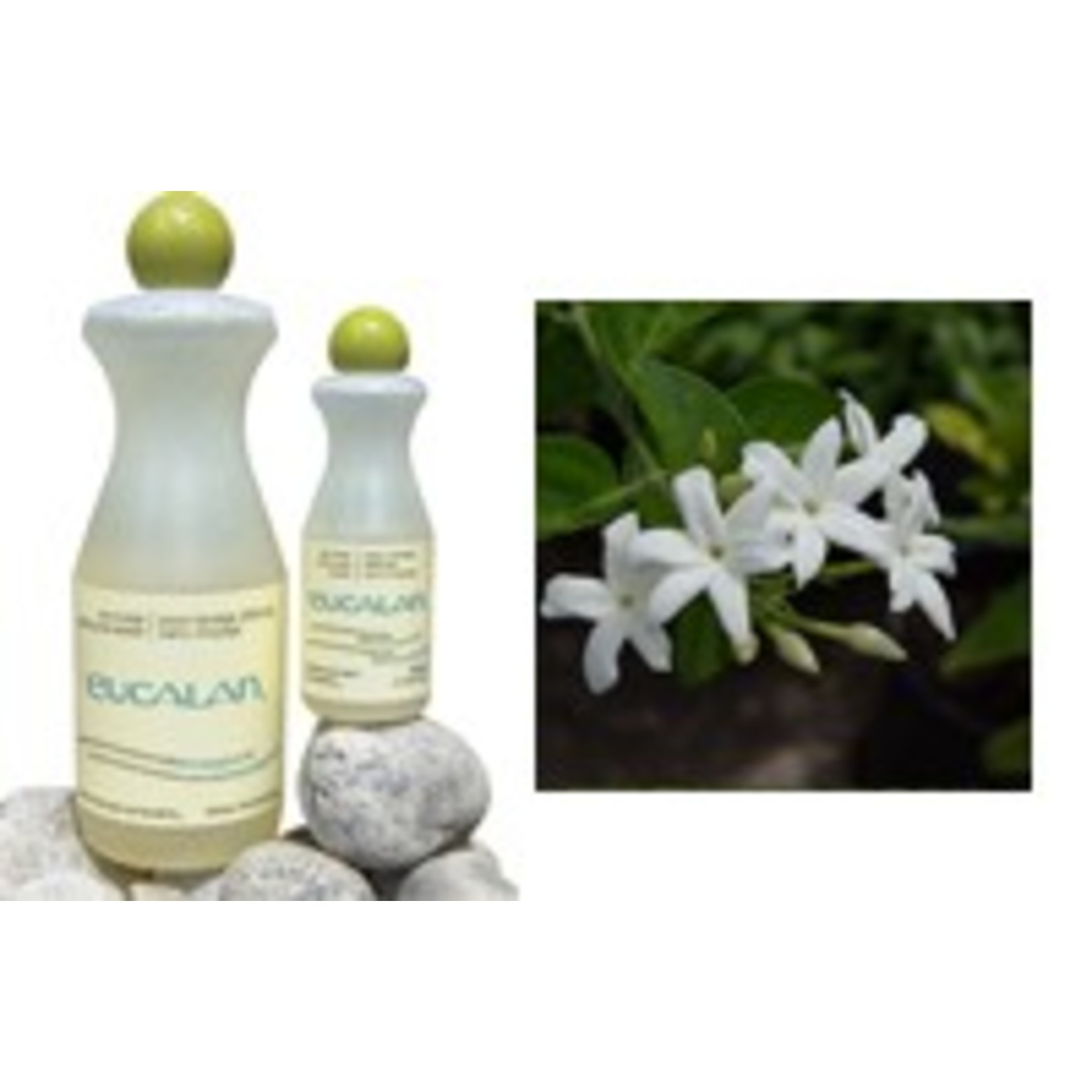 Eucalan Wolwasmiddel Eucalan 100 ml