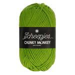 Scheepjes Chunky Monkey 2016 Fern