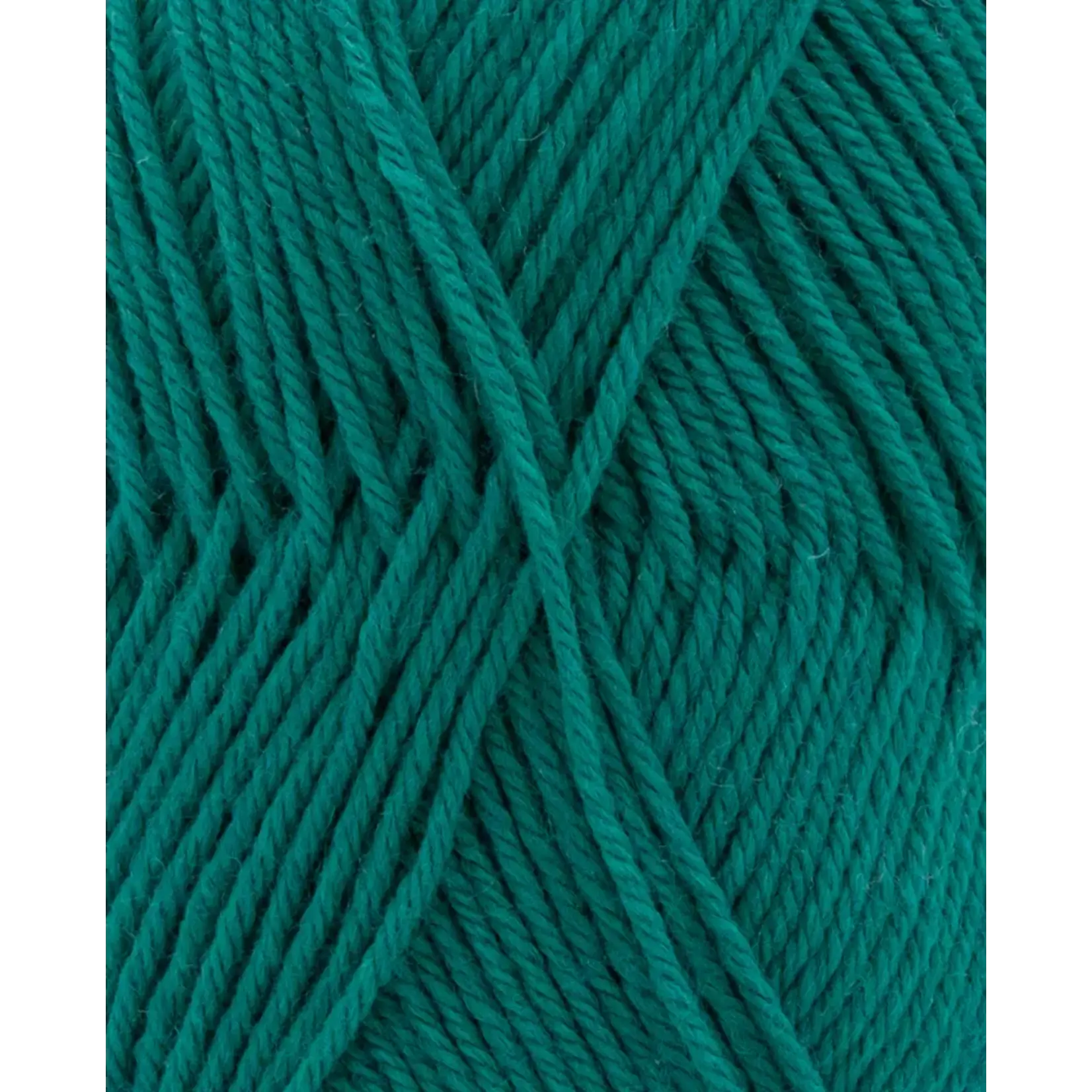 Phildar Lambswool Vert