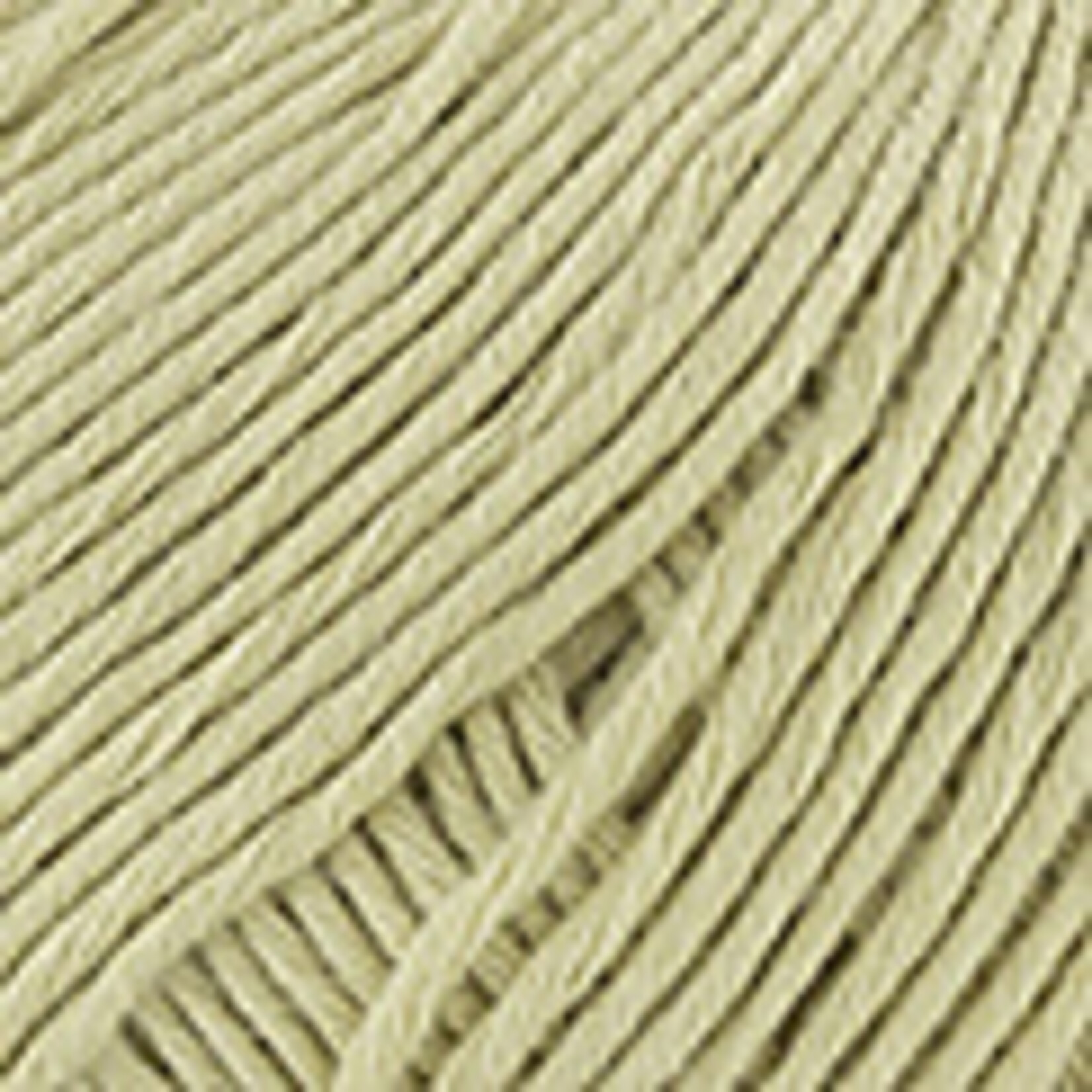 Katia  Cotton Cashmere 92 Groen