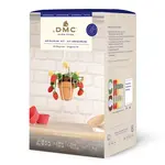DMC Amigurumikit bloemen haken Aardbeien