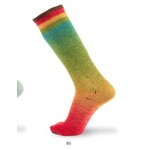 Katia Degradé Symmetric Socks 85 - Bruin-Rood-Groen-Blauw-Geel