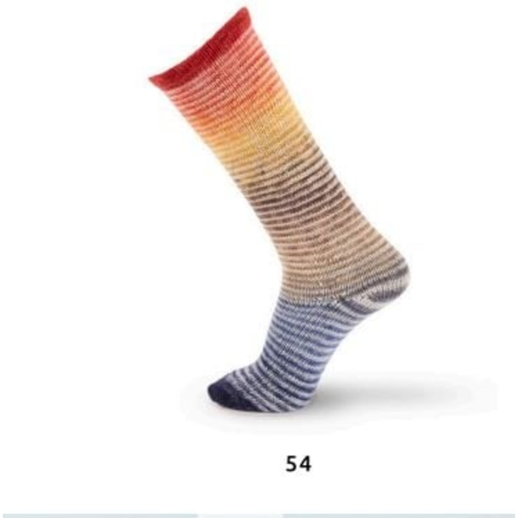 Katia Rainbow Symmetric 54