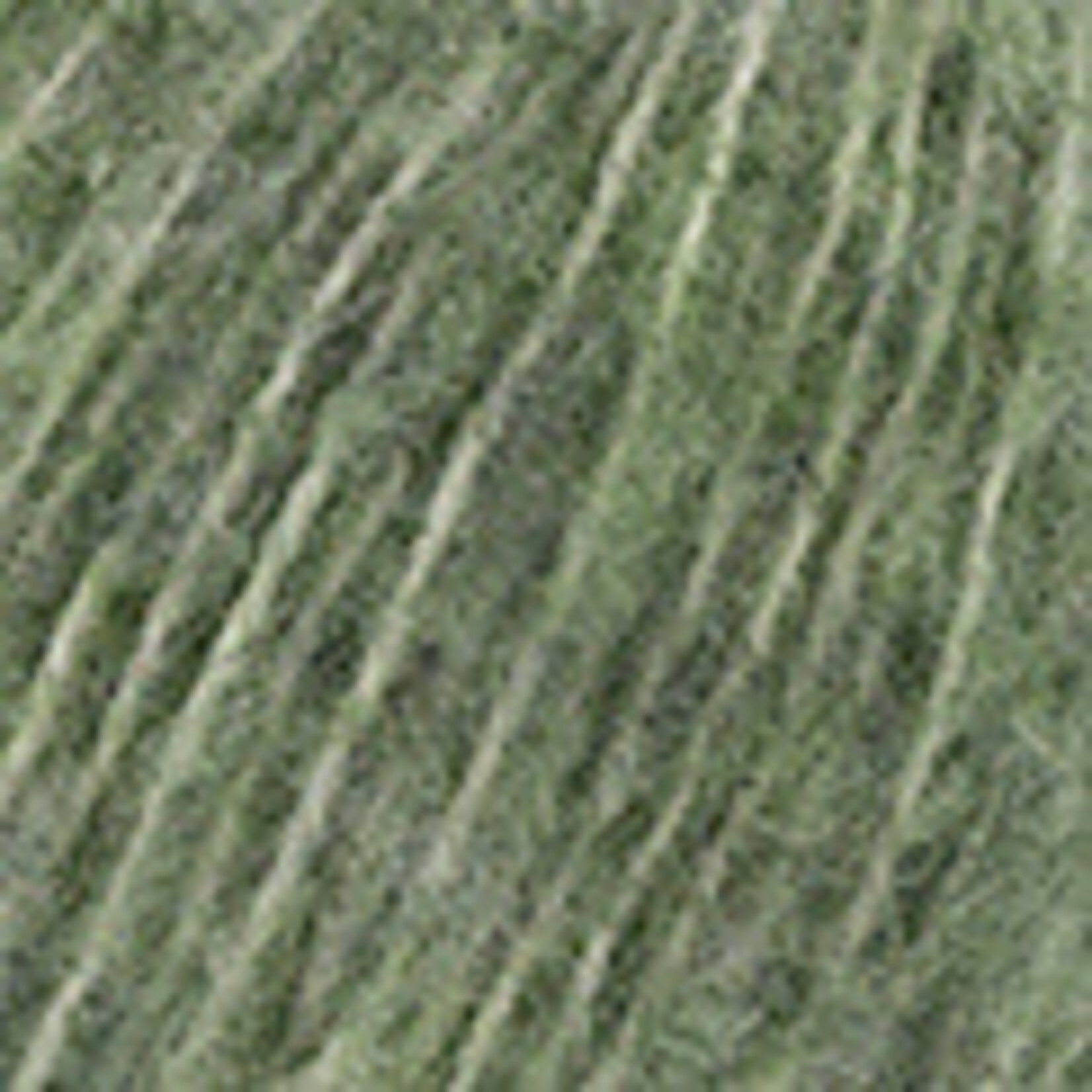 Katia Carezza 302 Salie