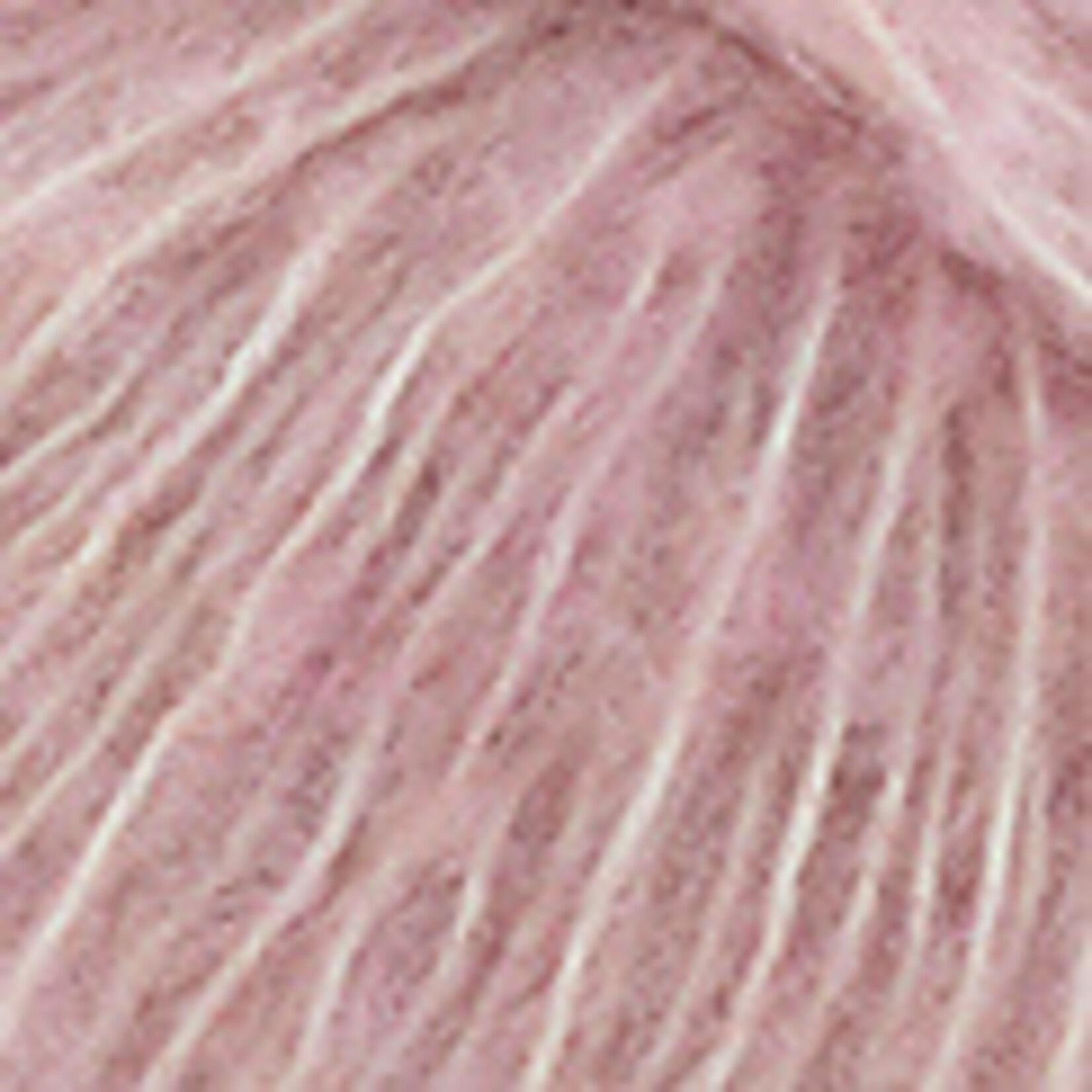 Katia Carezza 304 Lichtroos