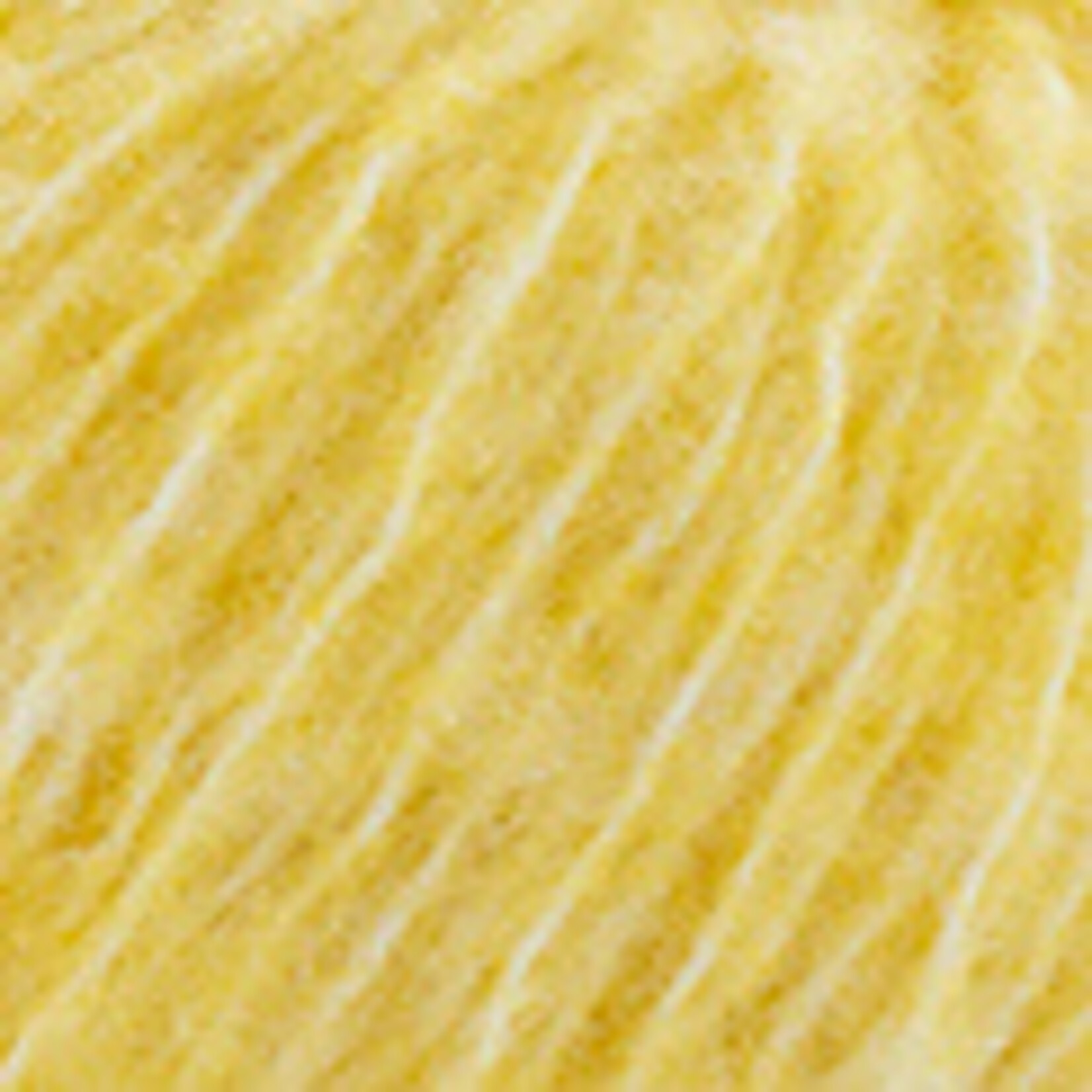 Katia Carezza 307 Geel