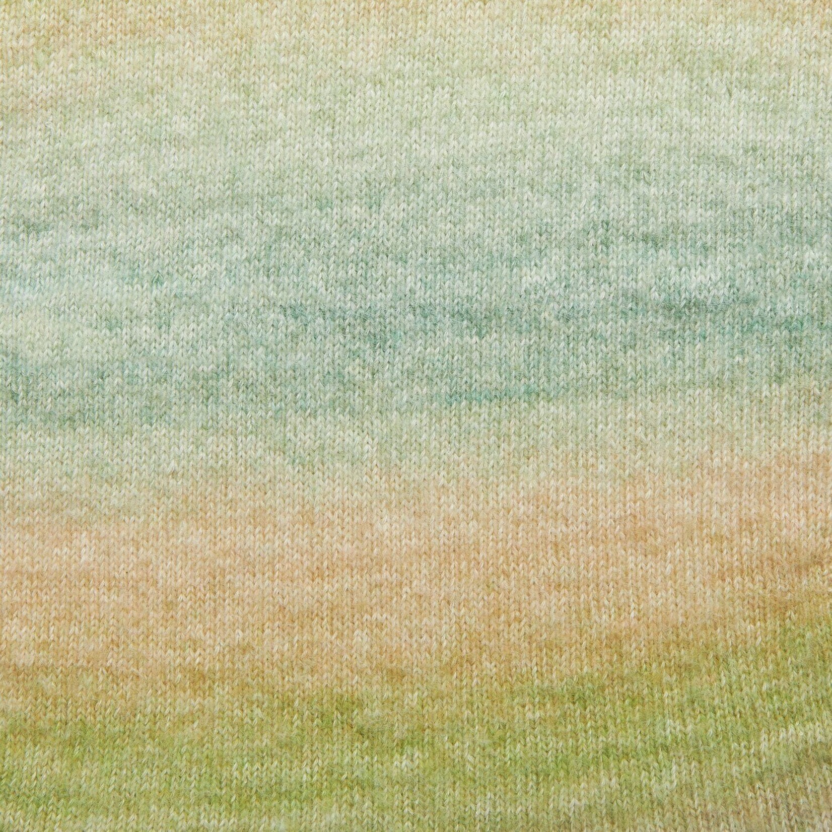 Rico Painted Power Cotton 10 Summer Fruits