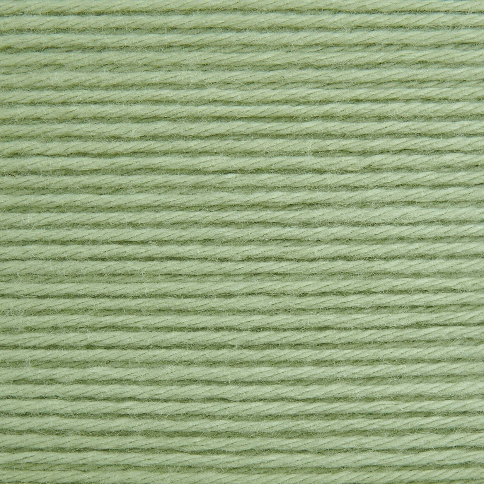 Rico Baby Cozy Organic Cotton Cashmere 11 Sage