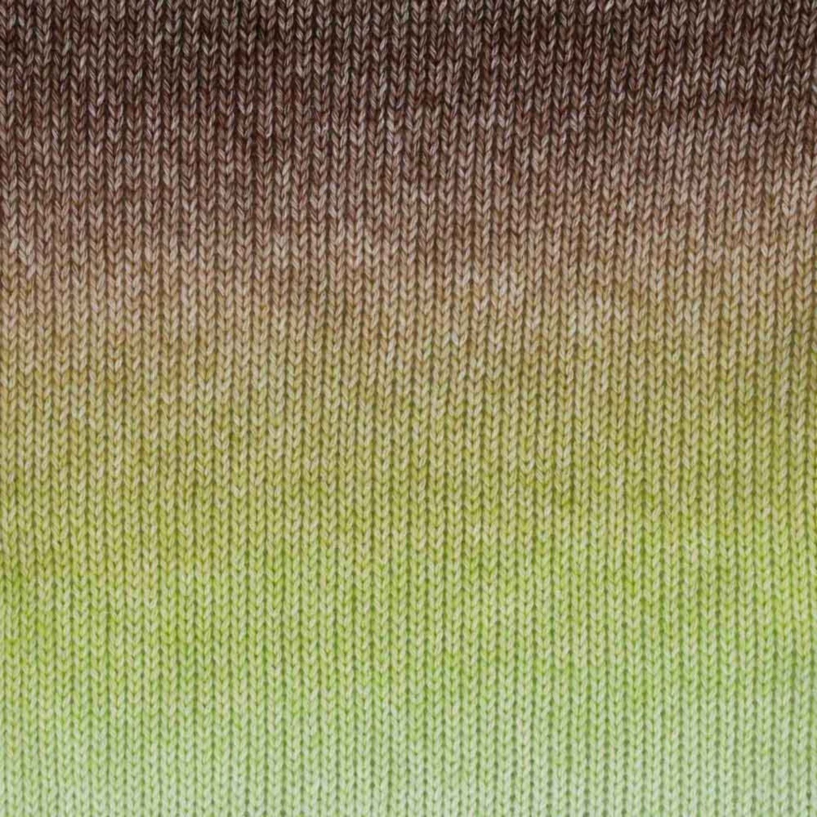 Scheepjes Stone Washed Flow 04 Reverie