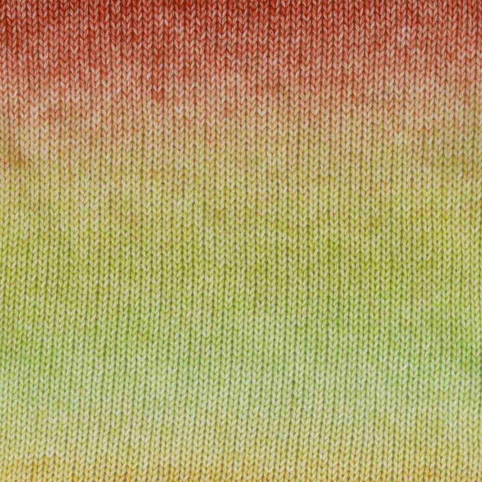 Scheepjes Stone Washed Flow 10 Harmonia