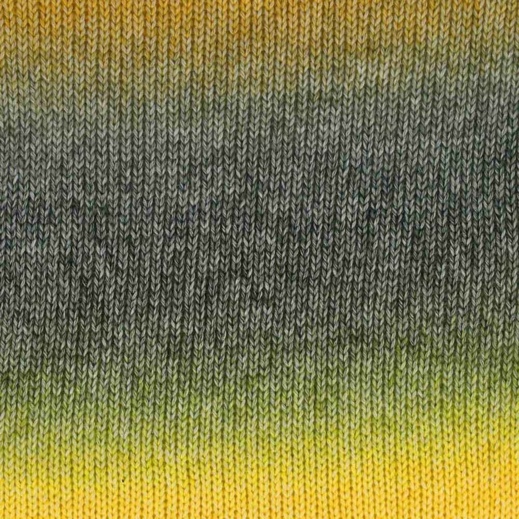 Scheepjes Stone Washed Flow 16 Haze