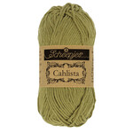 Scheepjes Cahlista  395 Willow