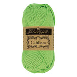 Scheepjes Cahlista 513 Apple Granny