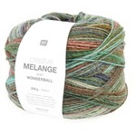 Rico Aran Wonderball 35 Winter Forest
