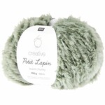 Rico Petit Lapin Super Chunky 20 Ivy
